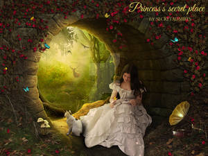 Princess's Secret Place