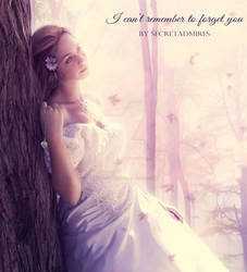 I can't remember to forget you!