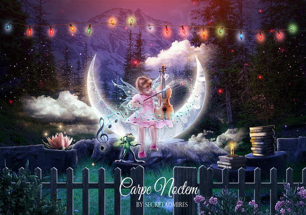 Carpe Noctem by Secretadmires Carpe Noctem by Secretadmires