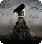 The Last Rose by Secretadmires