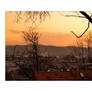 Roofs of Vilnius