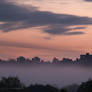 Foggy Cityscape