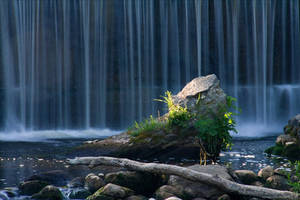 Waterscape With A Little Of Sunlight