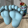 Rainbow Dash