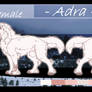 Adra Ref Sheet