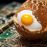Silicon Egg