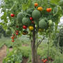 Vegetable Tree 2