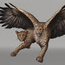 Leopard with Eagle Wings 1