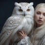 Lady and Owl