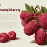 Frumpleberry