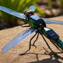 Solarpowered dragonfly 3