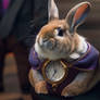 Watch Rabbit