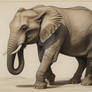 Default An elephant with two trunks 3