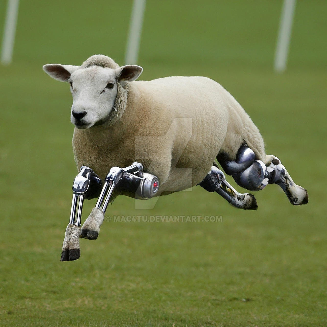 Android Sheeple Android Operating System Robotic Sheep by mac4tu on DeviantArt