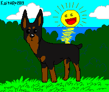 Doberman