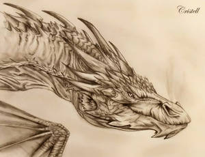 Smaug - The Hobbit