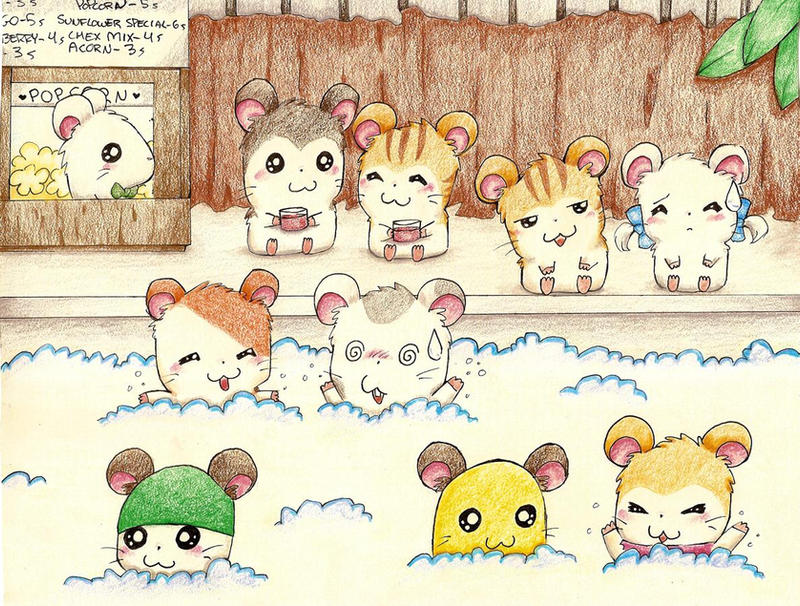 Ham-Ham Pool .+. by liltrix7 on DeviantArt