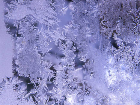 Frost Stock23
