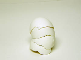 Egg Shell Stock1