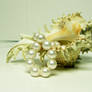 Conch Shell with Pearls Stock3