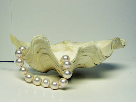 Clam Shell with Pearls Stock1