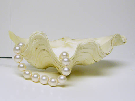 Clam Shell with Pearls Stock2