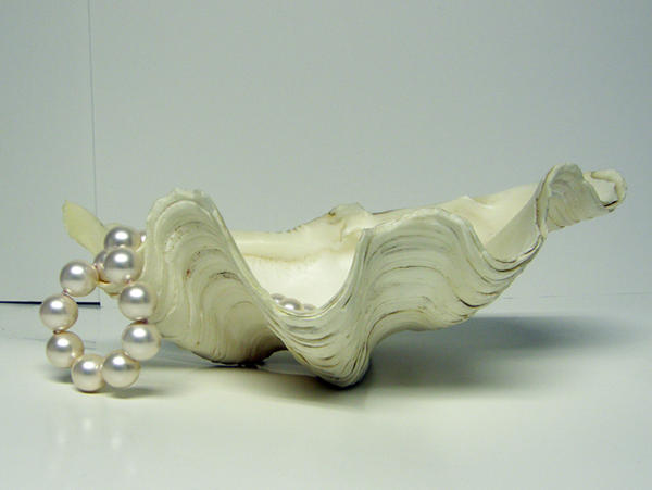 Clam Shell with Pearls Stock8