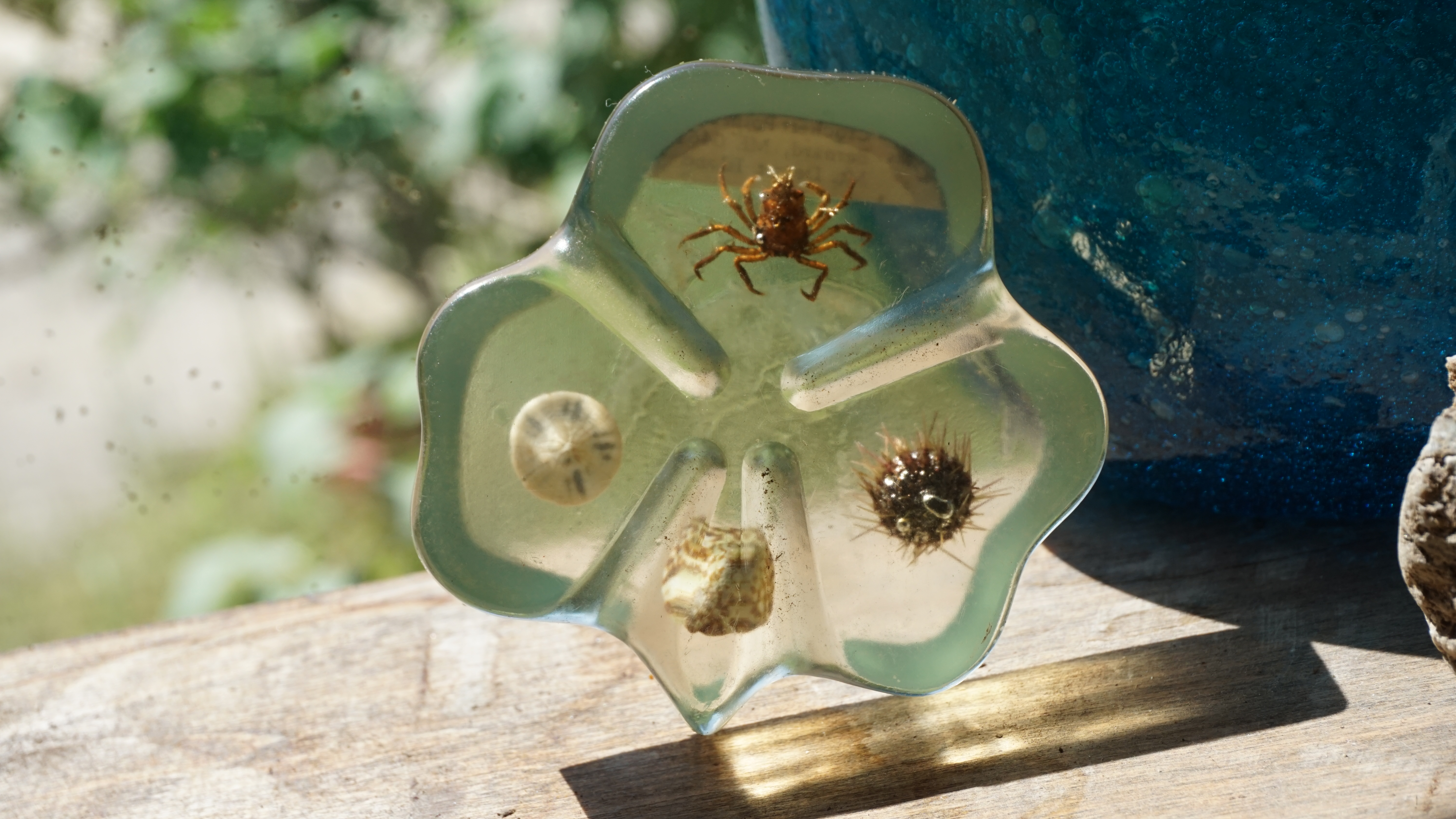 Clear Clover Paper Weight with Sea Critters Inside