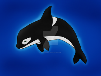 Orca - first Pic