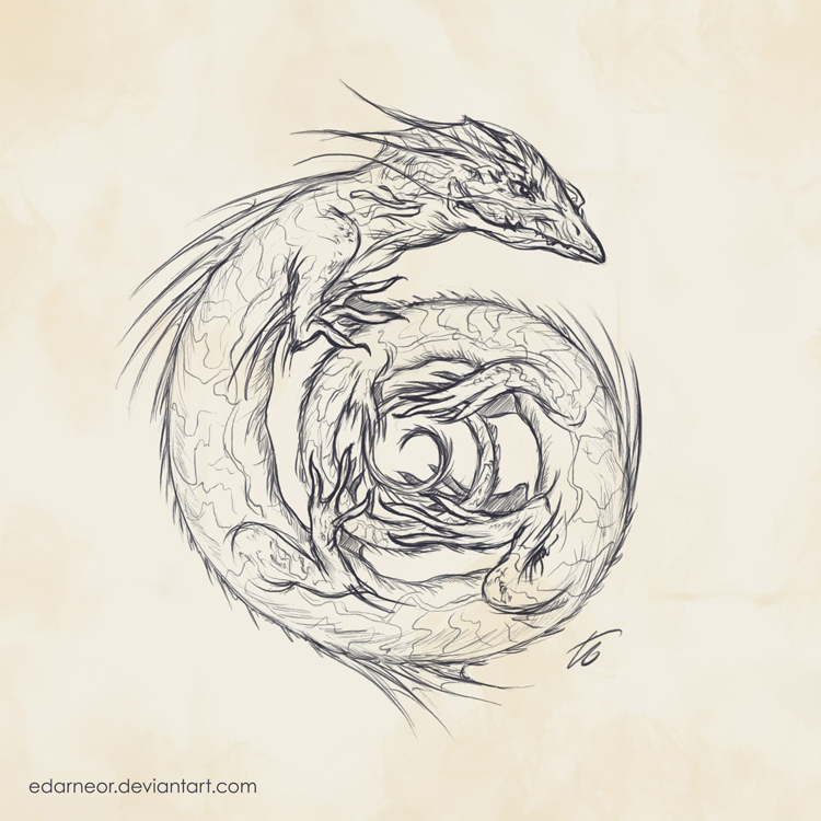 Salamandrake