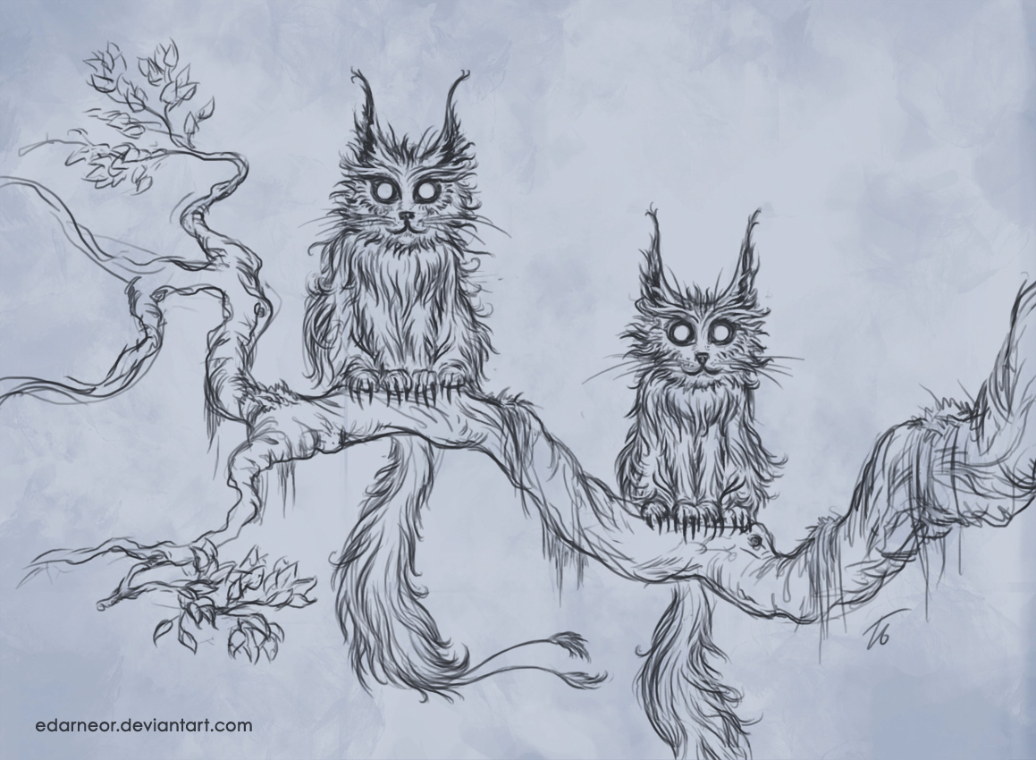 Owlcats