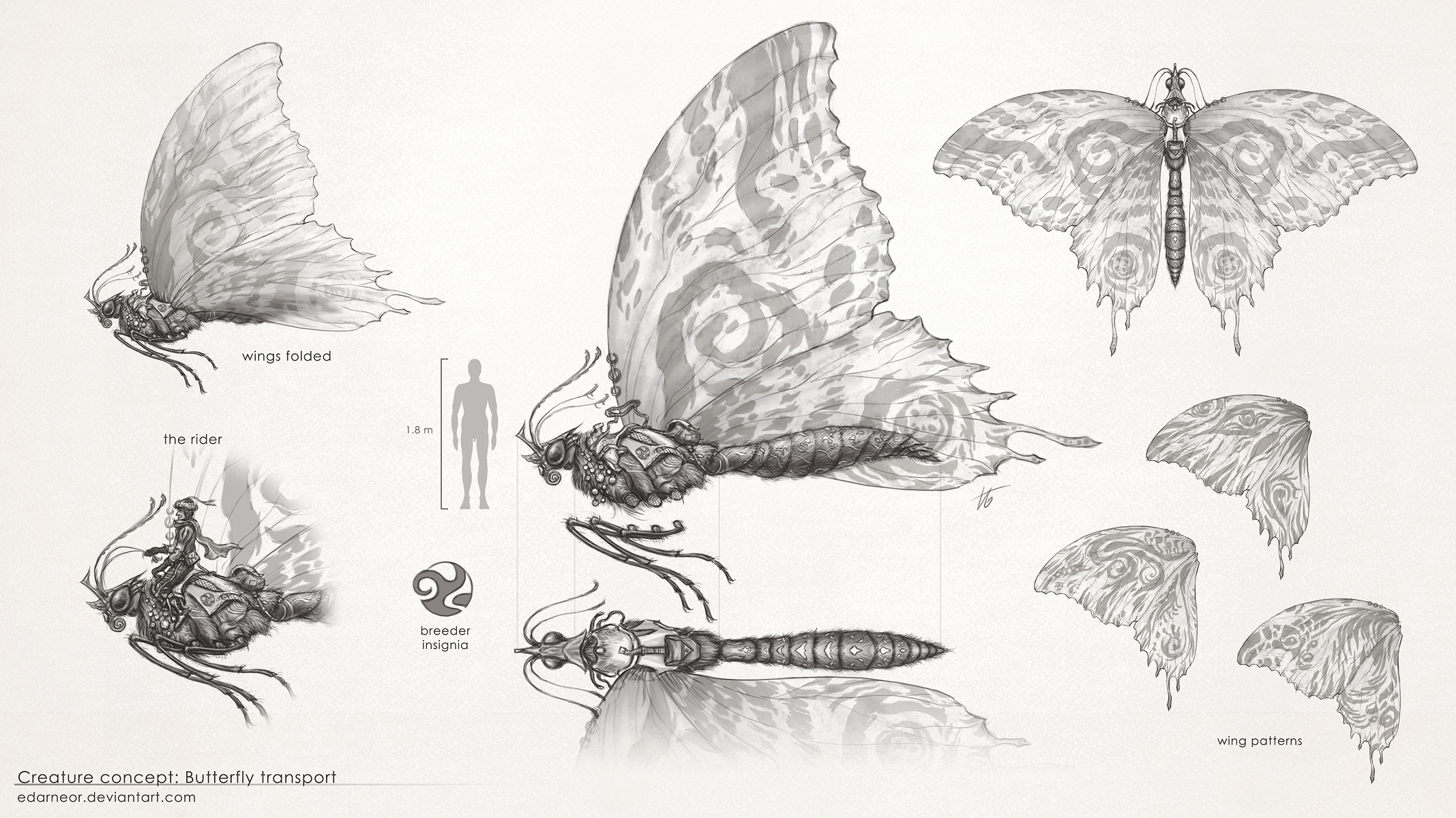 Butterfly steed