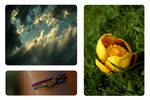 --summer-- by Scatty