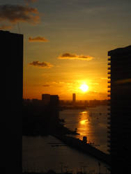 Miami Sunrise