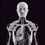 Anatomy of a Cyborg