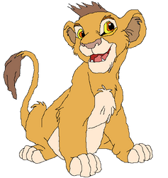 Kopa Redesign