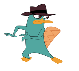 Daily Perry 20