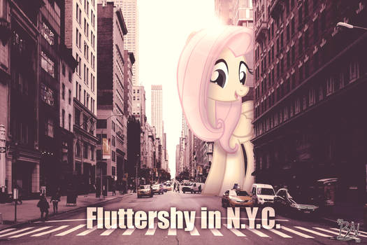 Flutters in NYC