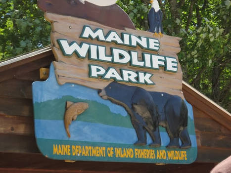 Maine Wildlife Park