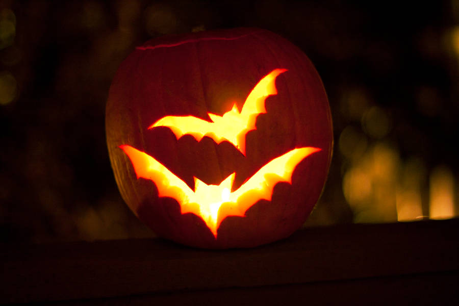 Jack o lantern by Pale-Recluse