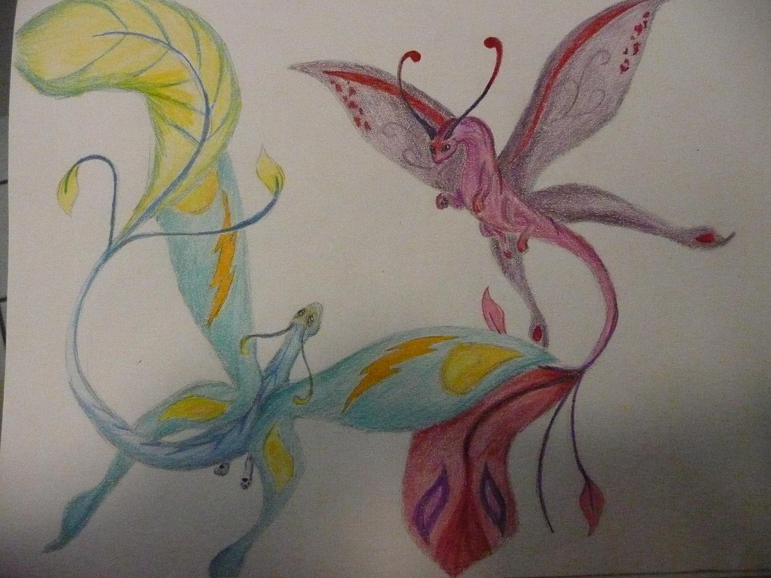 fae dragons