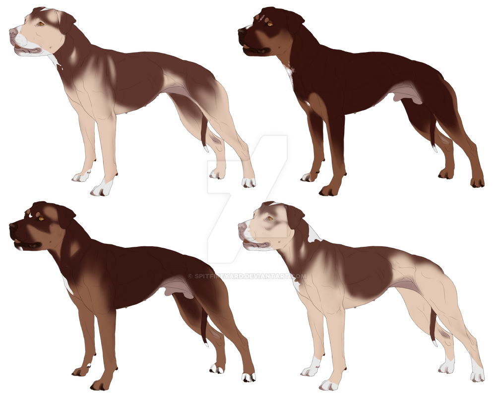 Deviant Ruckus The Ruckus Litter - Closed by SpitfireYard on DeviantArt