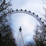 London's Eye