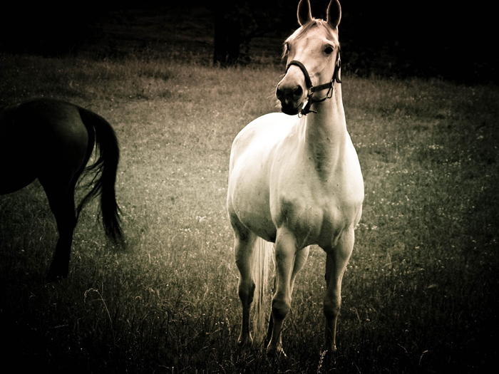 Black and white