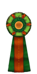 2019 Battle of the Bays Participation Ribbon by Ashley-Inspirations