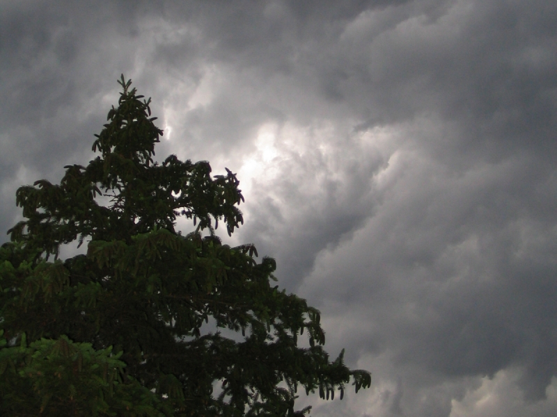 Stormclouds with Tree