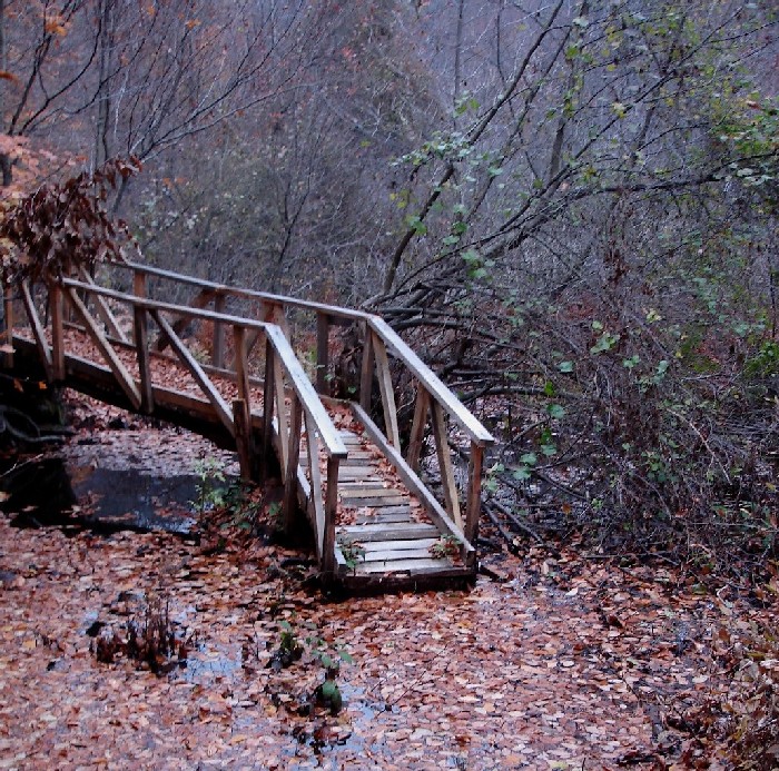 autumn bridge.