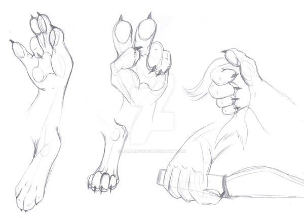 Anthro Paws - training