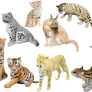 Pixel Big Cats