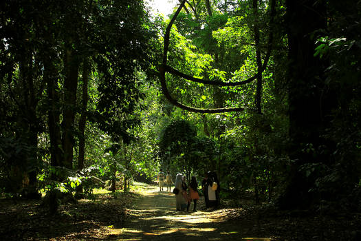 Bogor Botanical Garden